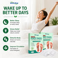 Herbal & Gentle Ingredient Detox Foot Pads (PACK OF 10)